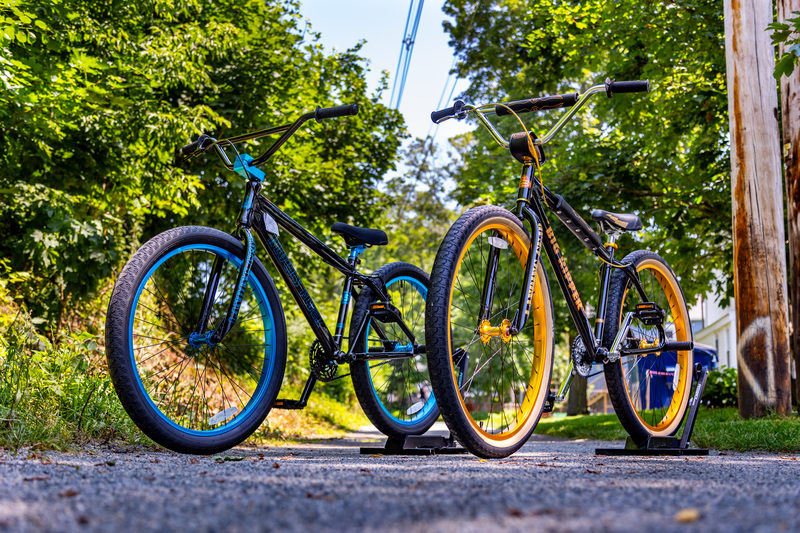 Two colorful fat-tire cruiser bikes parked on a leafy path