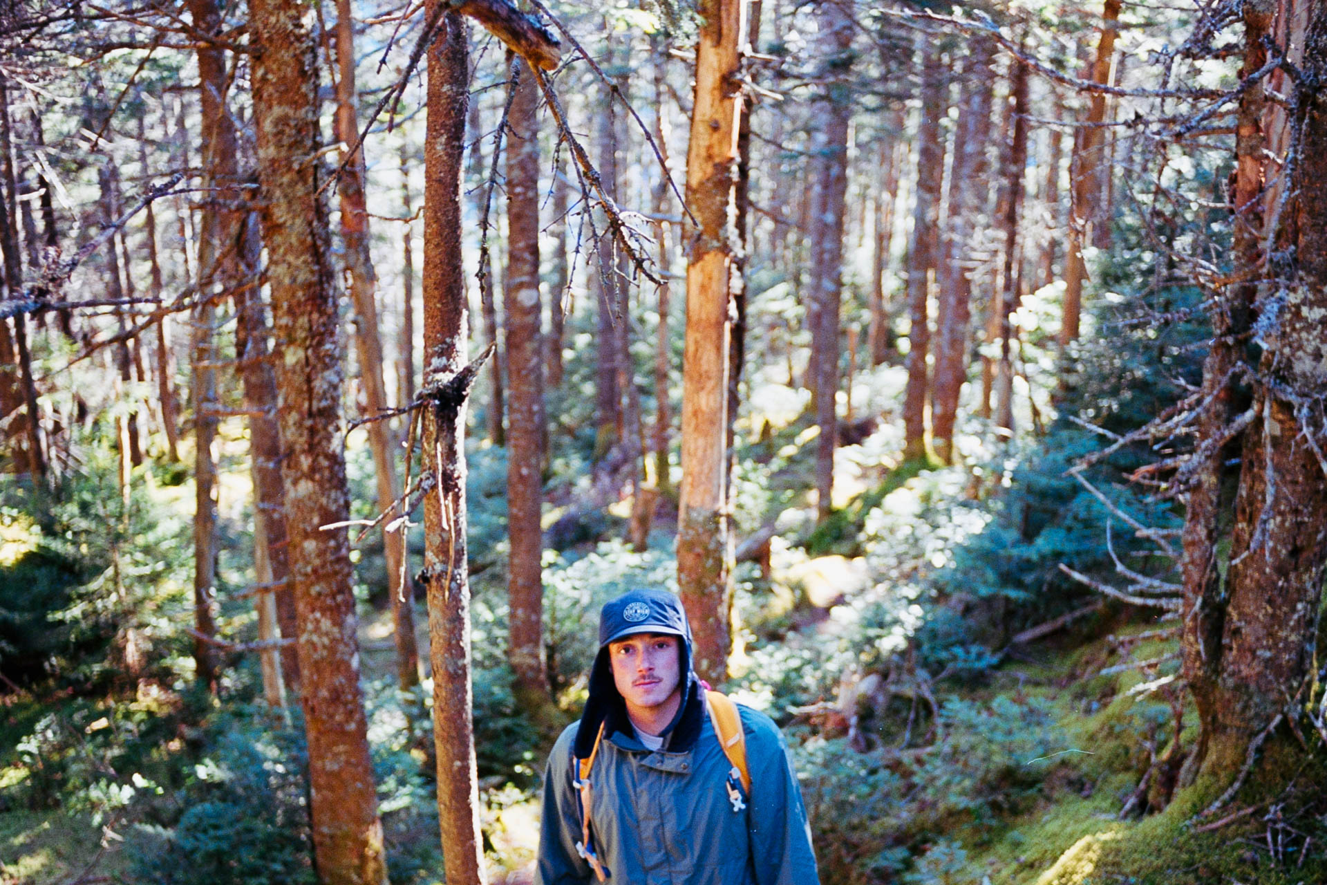 Hiker portrait among the pines